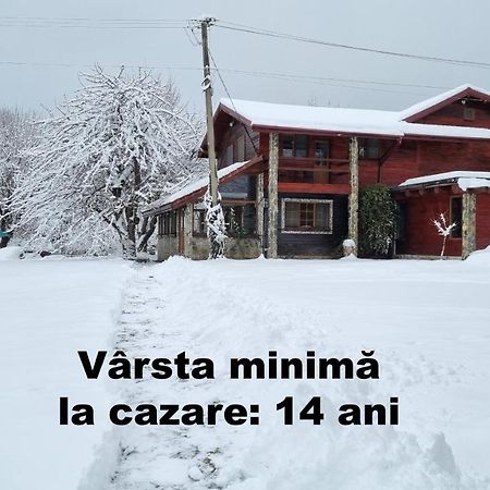 Casa Bunicului Villa Vistisoara Ngoại thất bức ảnh