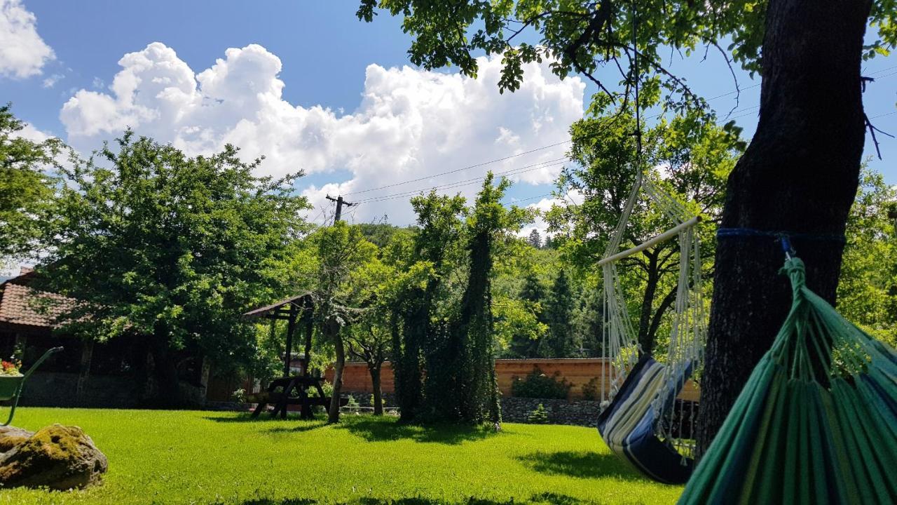 Casa Bunicului Villa Vistisoara Ngoại thất bức ảnh