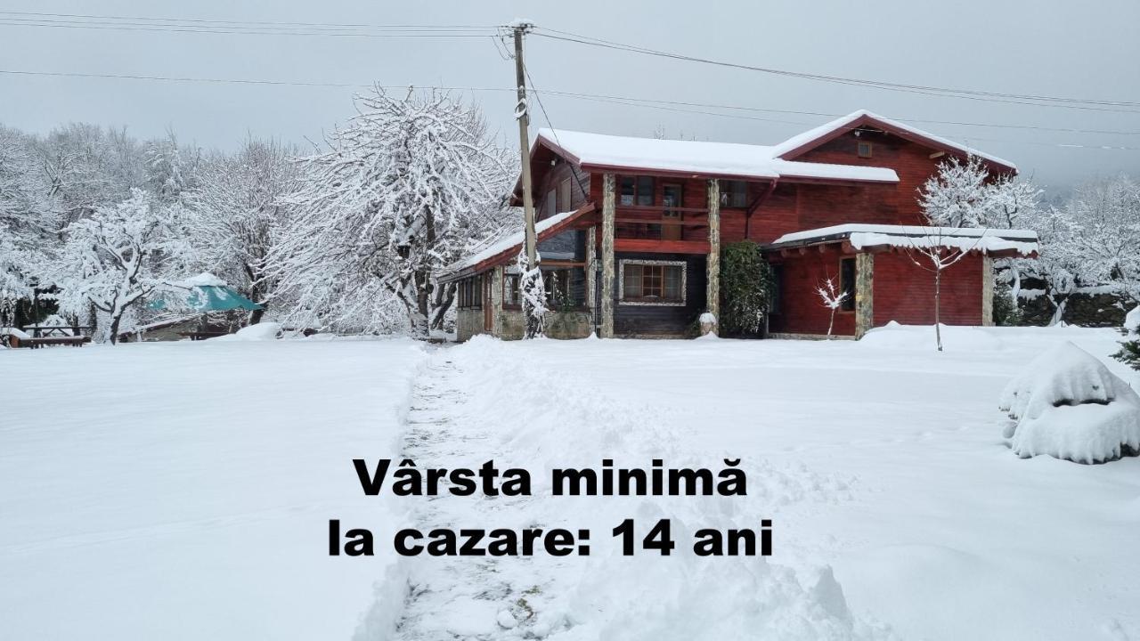 Casa Bunicului Villa Vistisoara Ngoại thất bức ảnh